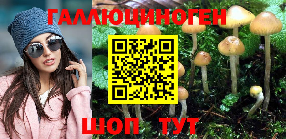 Псилоцибиновые грибы MAGIC MUSHROOMS  Вход с VPN  Псилоцибиновые грибы Psilocybe  Шебекино 