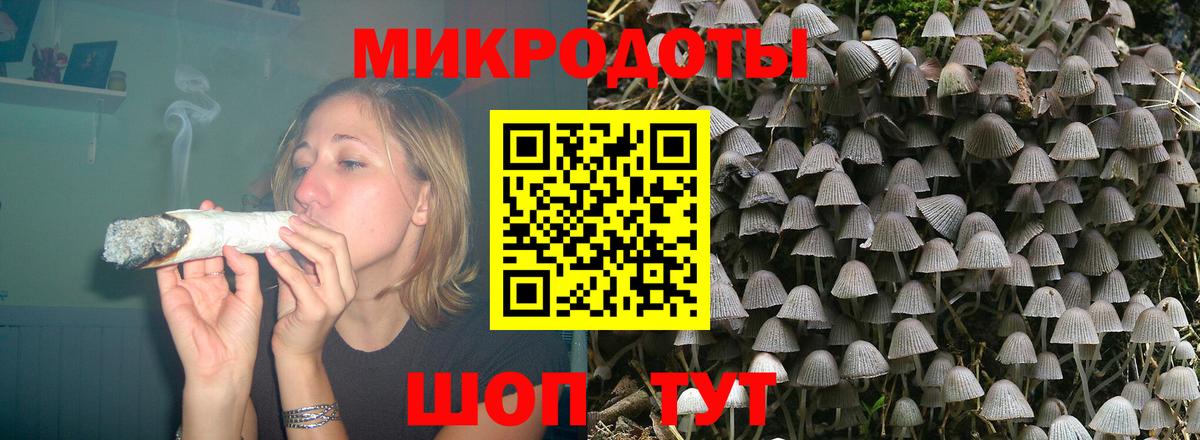 Псилоцибиновые грибы Psilocybine cubensis Шебекино