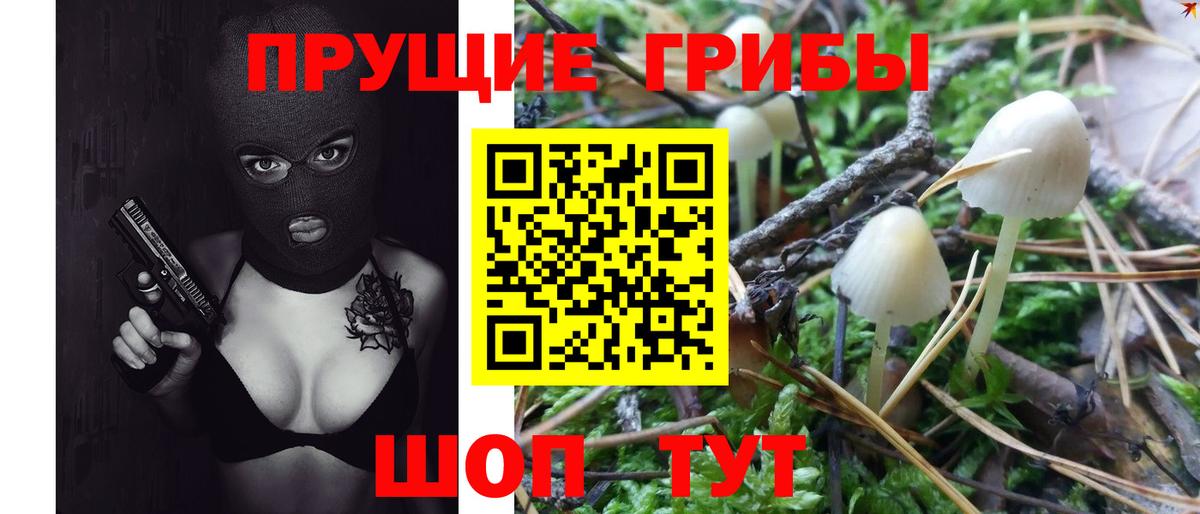 Галлюциногенные грибы мухоморы  Шебекино  Галлюциногенные грибы Psilocybine cubensis 