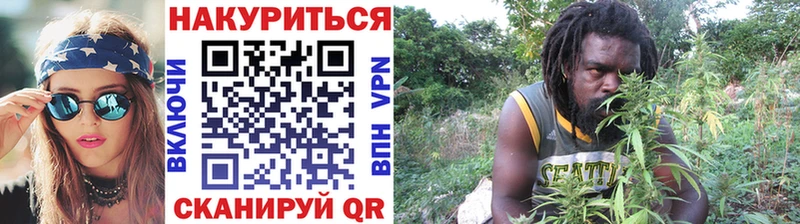 OMG tor  Шебекино  Бошки Шишки сатива 